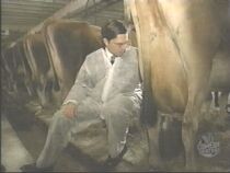 Ed Helms milking a cow..."Oh Geez!!! I got it on me!!"